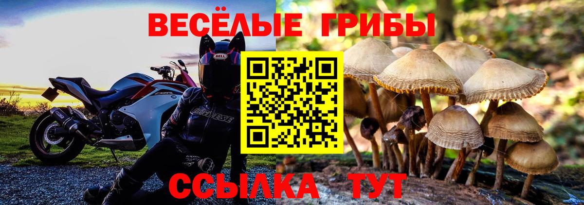 Псилоцибиновые грибы Magic Shrooms  Вход с VPN  Луховицы 